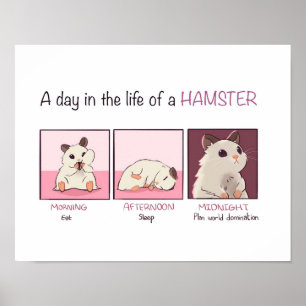 Poster Vie Hamster