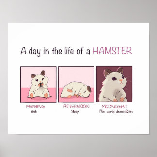 Poster Vie Hamster