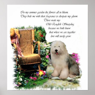 Poster Vieille copie anglaise d'art de chien de berger