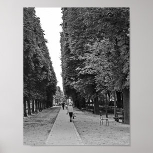 Poster Vieille femme au parc à Paris en été