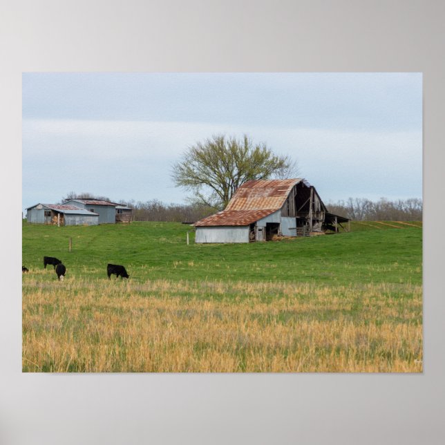 Poster Vieille ferme d'Ozark (Devant)