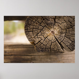 Poster Vieille texture de cabine