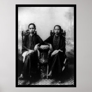 Poster Vietnamiennes 1903