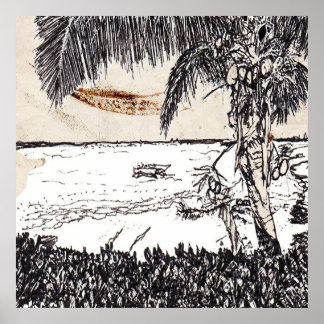 Poster Vieux Cocotier en Papier, Bahamas