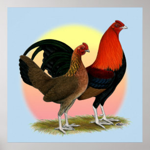 Poster Vieux coq nain anglais de jeu :  Rouge de BB