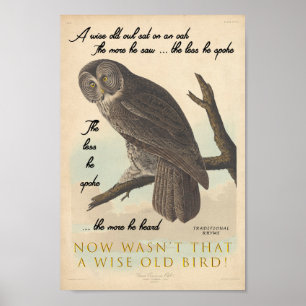 Poster Vieux hibou sage