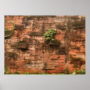 Poster Vieux mur de brique cassé