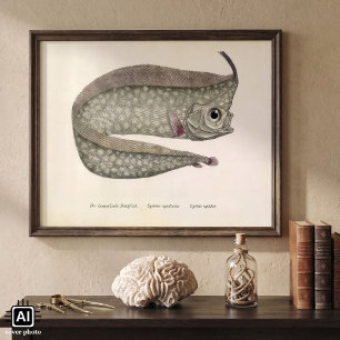 Poster Vieux poisson-rame à crête, vie marine aquatique