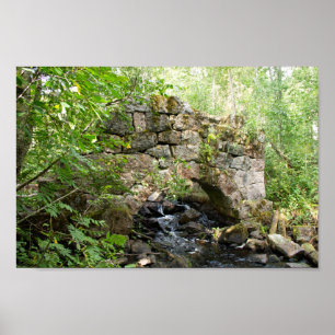 Poster Vieux pont détruit dans la forêt