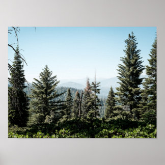 Poster View of Kings Canyon in the Sierra Nevada Forest