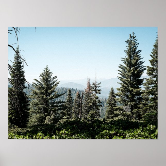 Poster View of Kings Canyon in the Sierra Nevada Forest (Devant)