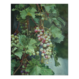 Poster Vigne Réaliste avec Feuilles – Art Fin