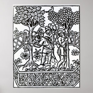 Poster Vignes