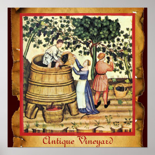 POSTER VIGNOBLE DE VIGNE ANTIQUE RÉCOLTE PARCHEMIN