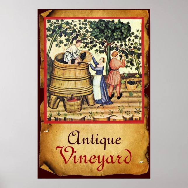 POSTER VIGNOBLE DE VIGNE ANTIQUE RÉCOLTE PARCHEMIN (Devant)