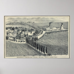 Poster Vignoble d'Eggers, Fresno