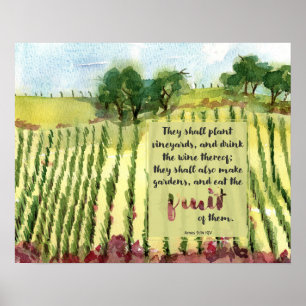 Poster Vignoble Écriture Amos Raisins d'eau aquarelle