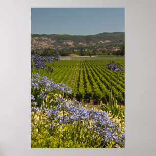 Poster Vignoble vert et fleurs pourpres