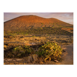 Poster Vignoble volcanique et caldeira de Lanzarote au co
