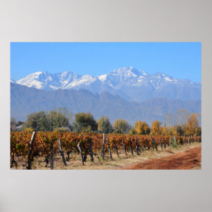 Poster Vignobles en automne de Mendoza, Argentine