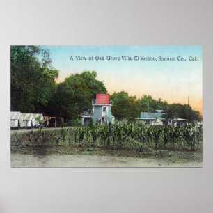 Poster Villa SceneEl Verano, CA de plantation de chêne