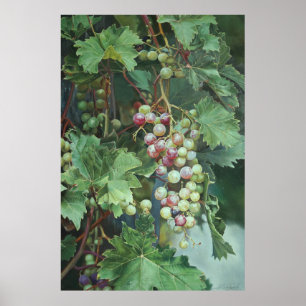 Poster Vin de raisin réaliste avec Feuille - Art