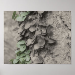 Poster Vin vert sur la couleur partielle de l'arbre
