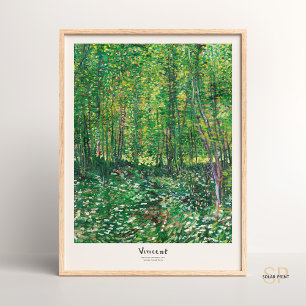Poster Vincent van Gogh Arbres et sous-bois