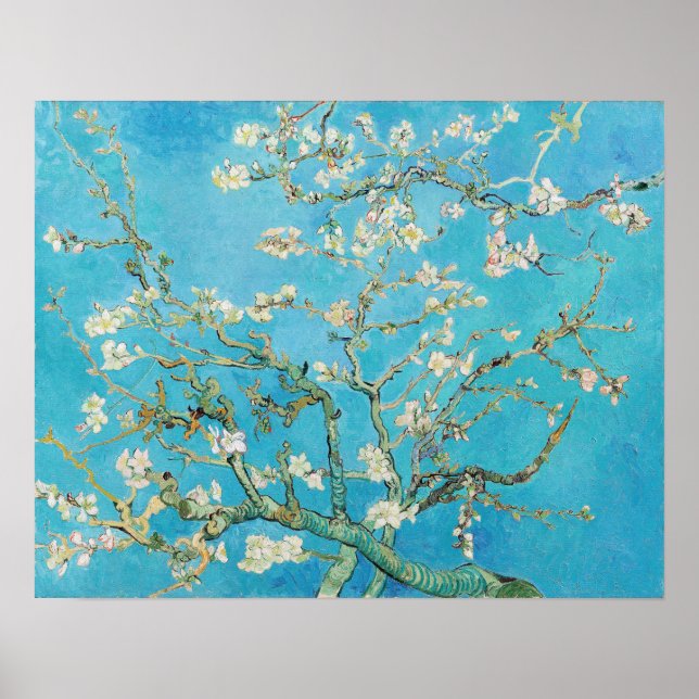 Poster Vincent van Gogh - Fleur d'amandes (Devant)