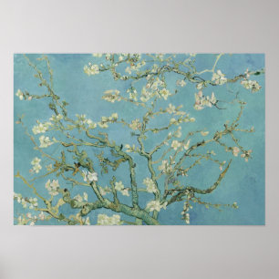 Poster Vincent van Gogh - Fleur d'amandes