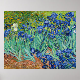 Poster Vincent Van Gogh - Iris