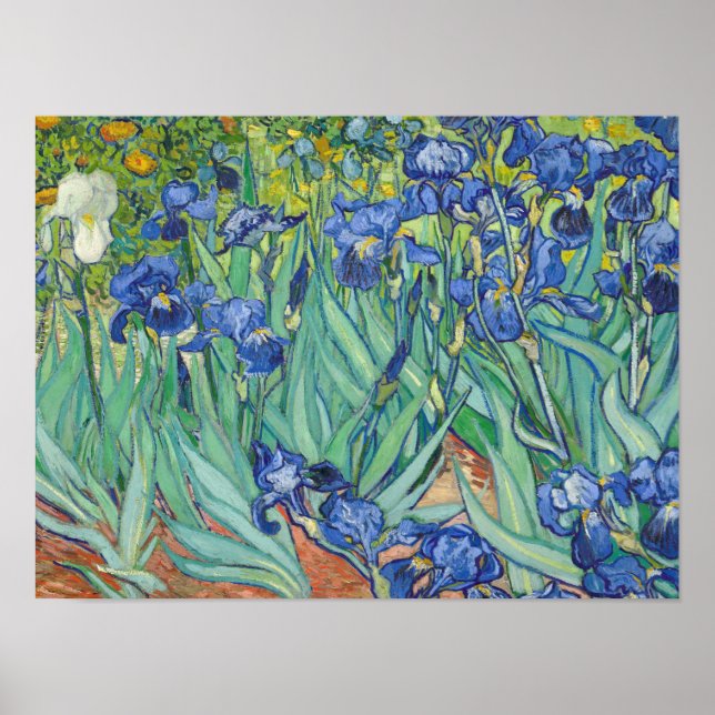 Poster Vincent Van Gogh - Irises 1889 (Devant)