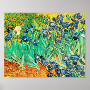 Poster Vincent van Gogh Irises 1889 Fleurs bleues