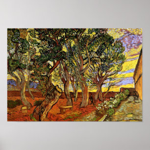 Poster Vincent Van Gogh - Jardin De L'Hôpital Saint-Paul