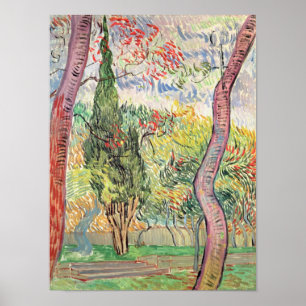 Poster Vincent van Gogh   le jardin de l'hôpital de St