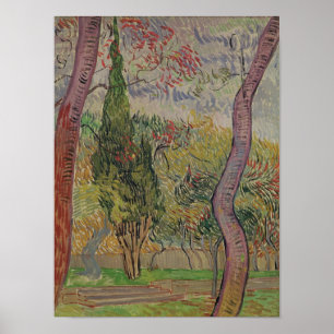 Poster Vincent van Gogh le parc à St Paul