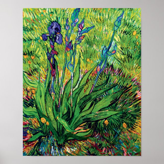 Poster Vincent Van Gogh - L'Iris - Art de la pop pop sur  (Devant)