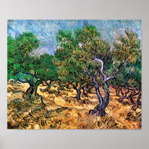 Poster Vincent Van Gogh - Olive Grove Fine Art