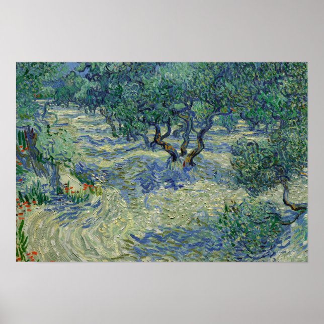 Poster Vincent van Gogh - Olive Orchard (Devant)
