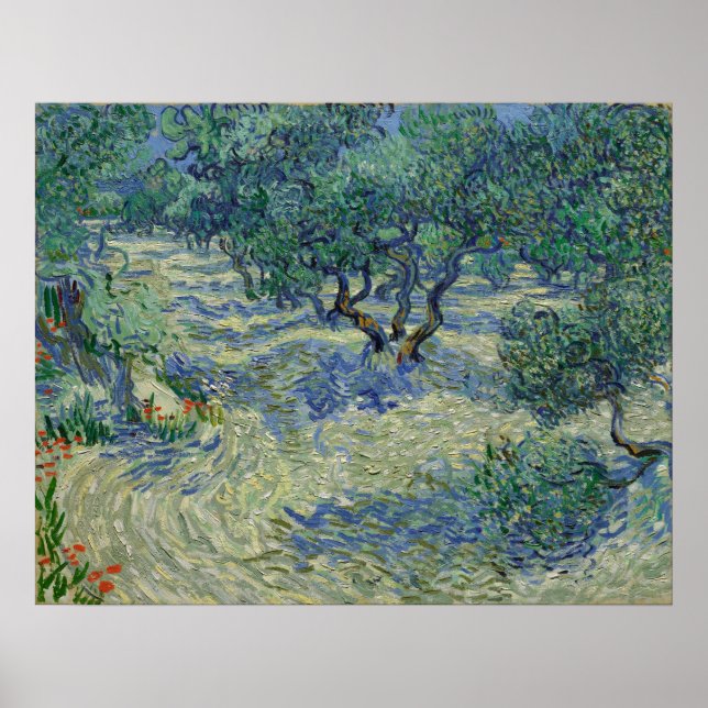Poster Vincent van Gogh - Olive Orchard (Devant)