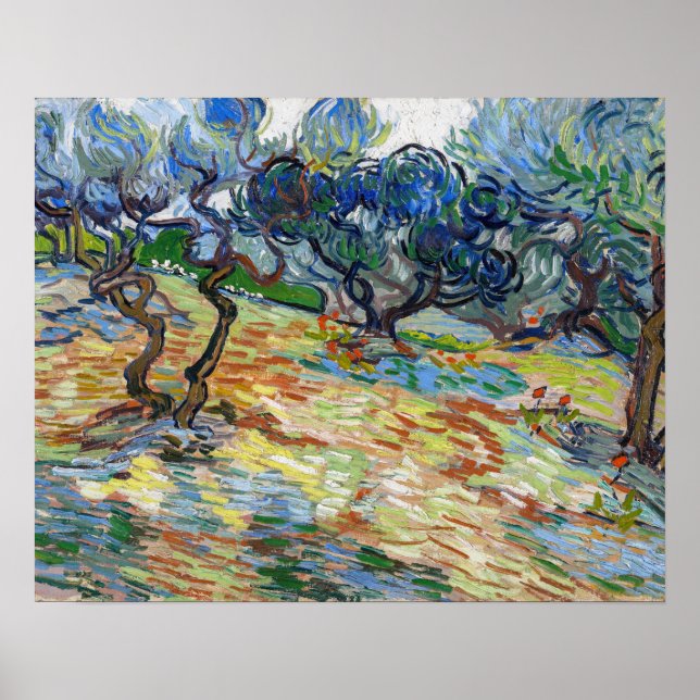 Poster Vincent van Gogh - Oliviers : Ciel bleu brillant (Devant)