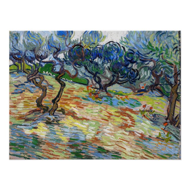 Poster Vincent van Gogh - Oliviers : Ciel bleu vif (Devant)