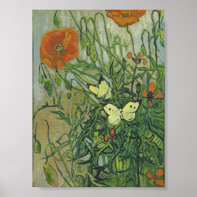 Poster Vincent Van Gogh - Papillons et pavots (Devant)