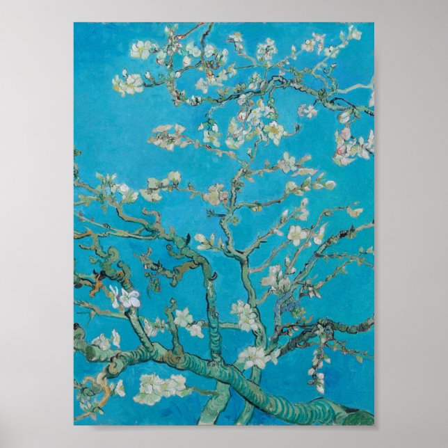 Poster Vincent Van Gogh - Succursales à fleurs d'amandes, (Devant)