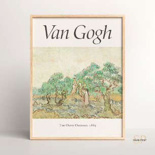 Poster Vincent van Gogh Women Picking Olives Art Imprimer