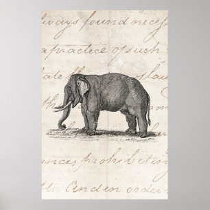 Poster Vintage 1800s Elephant Illustration - Elephants