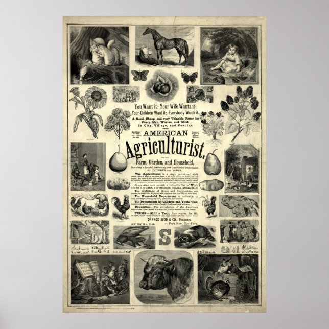 Poster Vintage 1866 L'agriculteur américain (Devant)