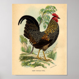 Poster Vintage Agricole Victorian Print Roster