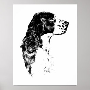 Poster vintage Art Anglais Springer Spaniel