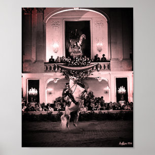 Poster Vintage Autriche Vienne Courbette Espagnole